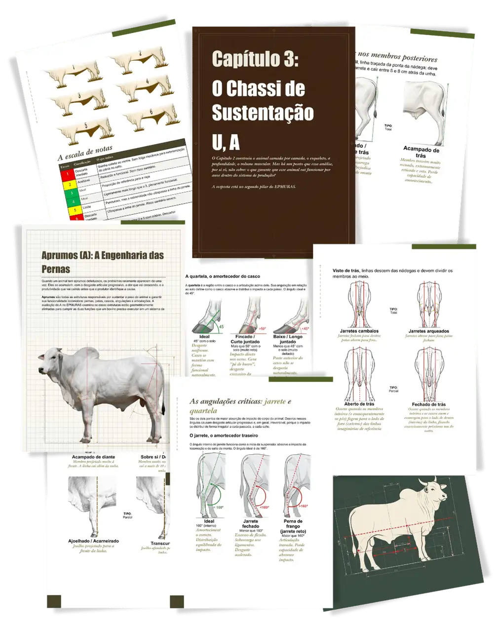 Exemplo de páginas do Capítulo 3