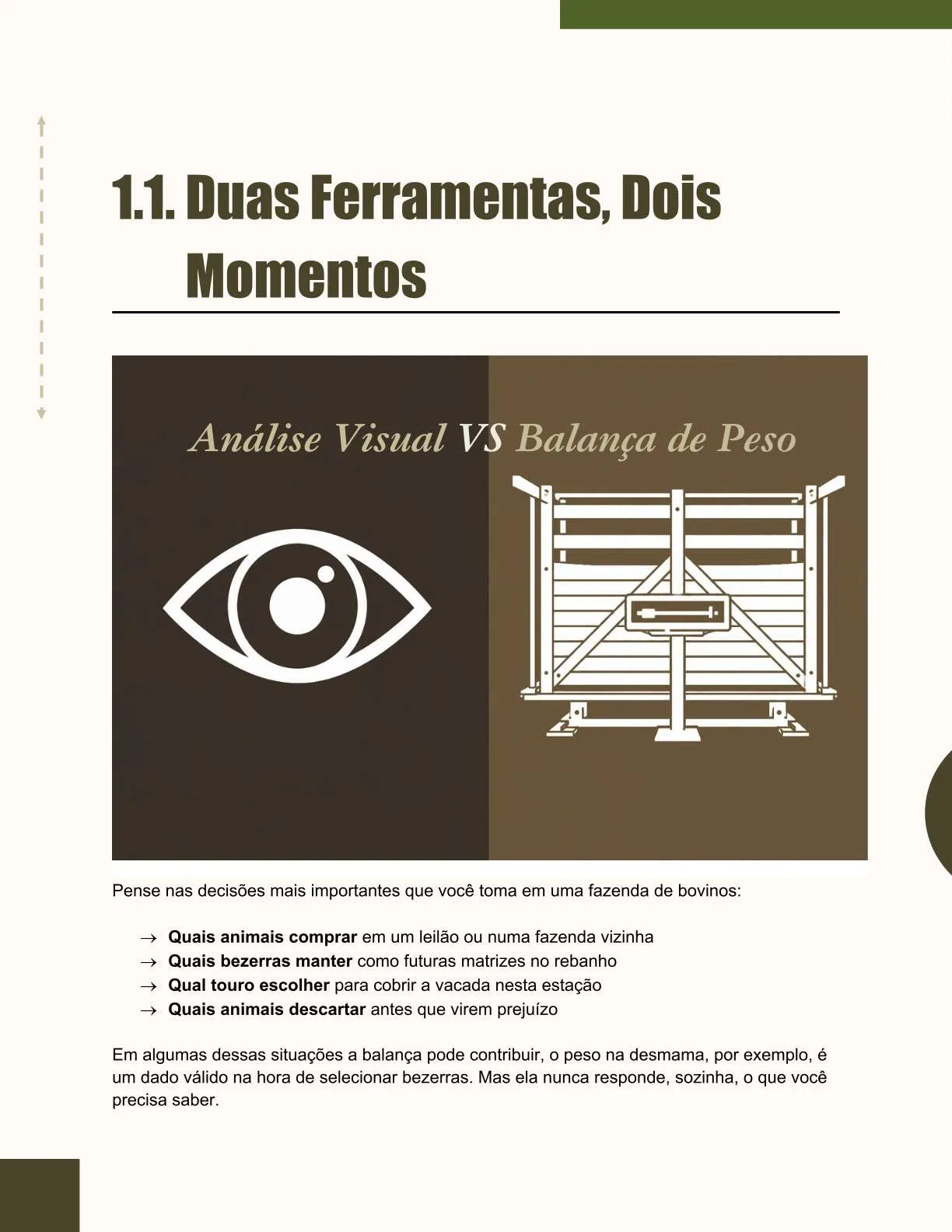 Exemplo de página do ebook