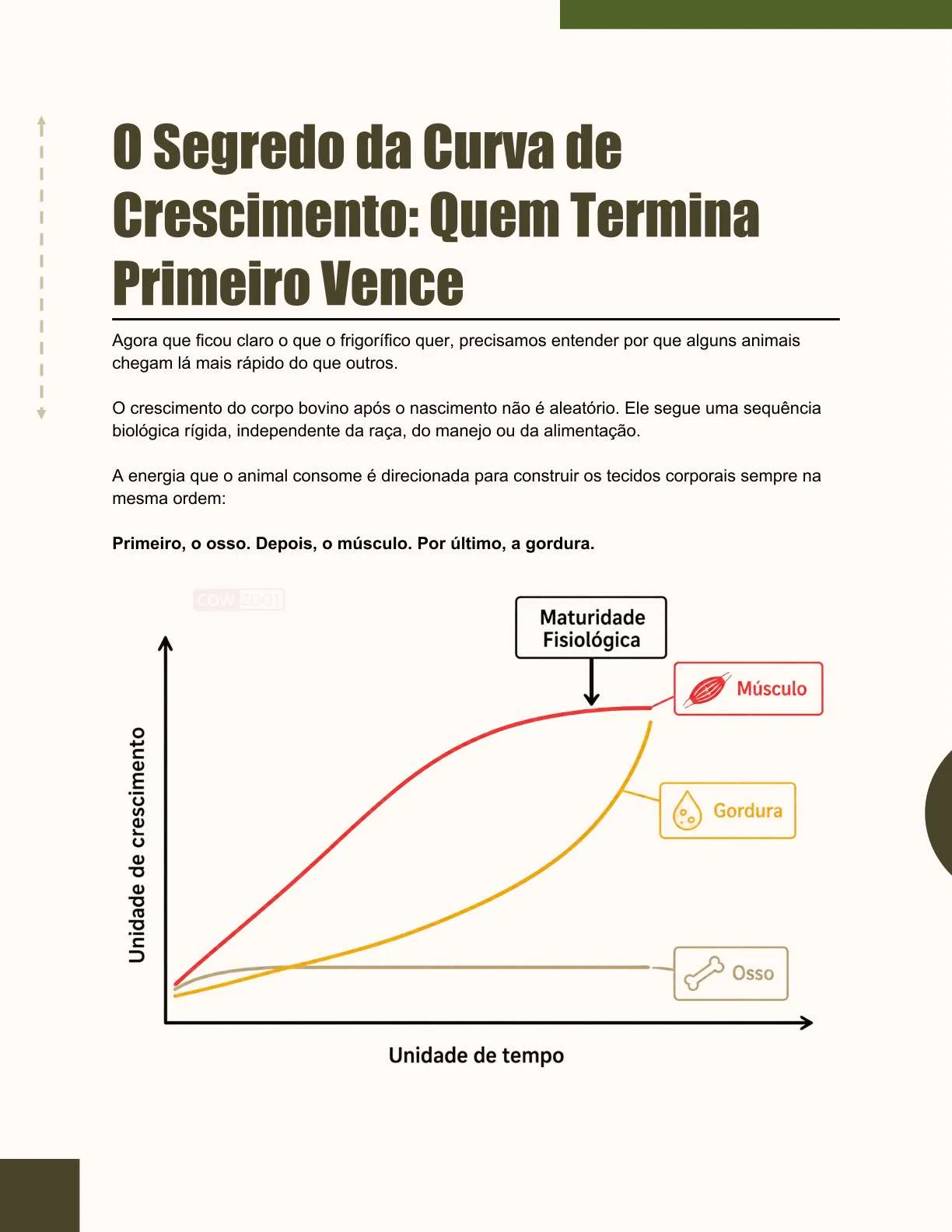 Exemplo de página do ebook