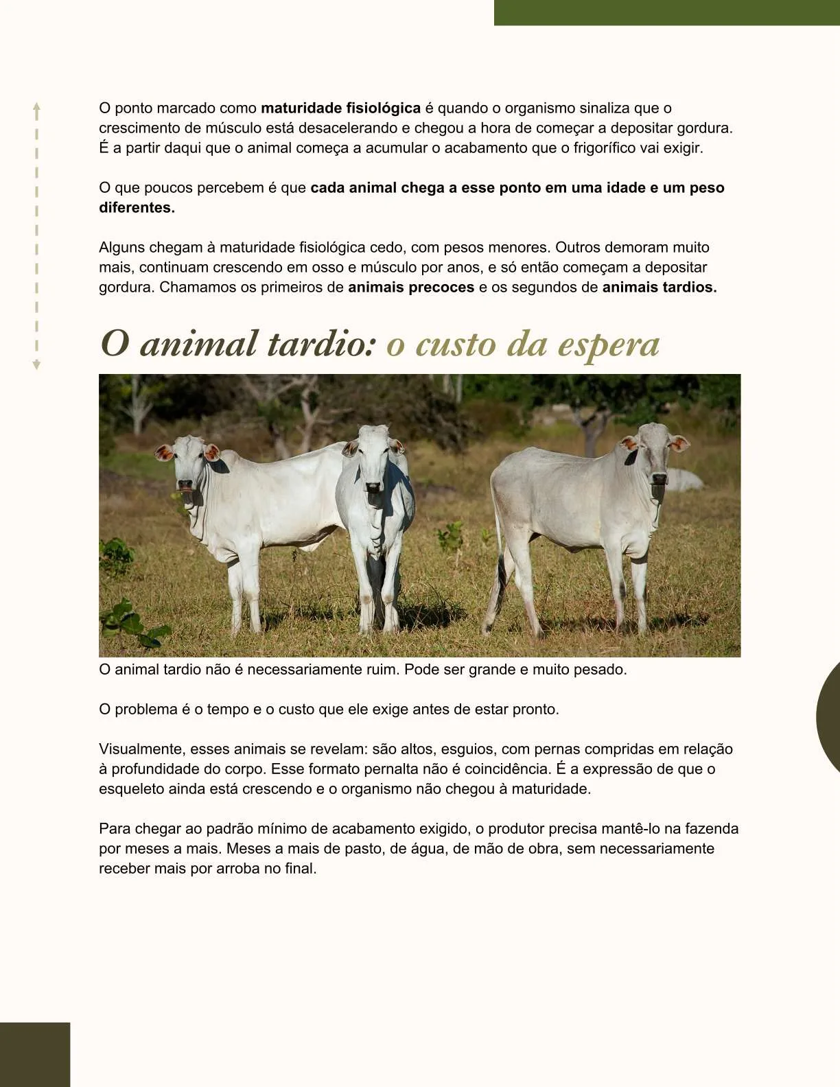 Exemplo de página do ebook
