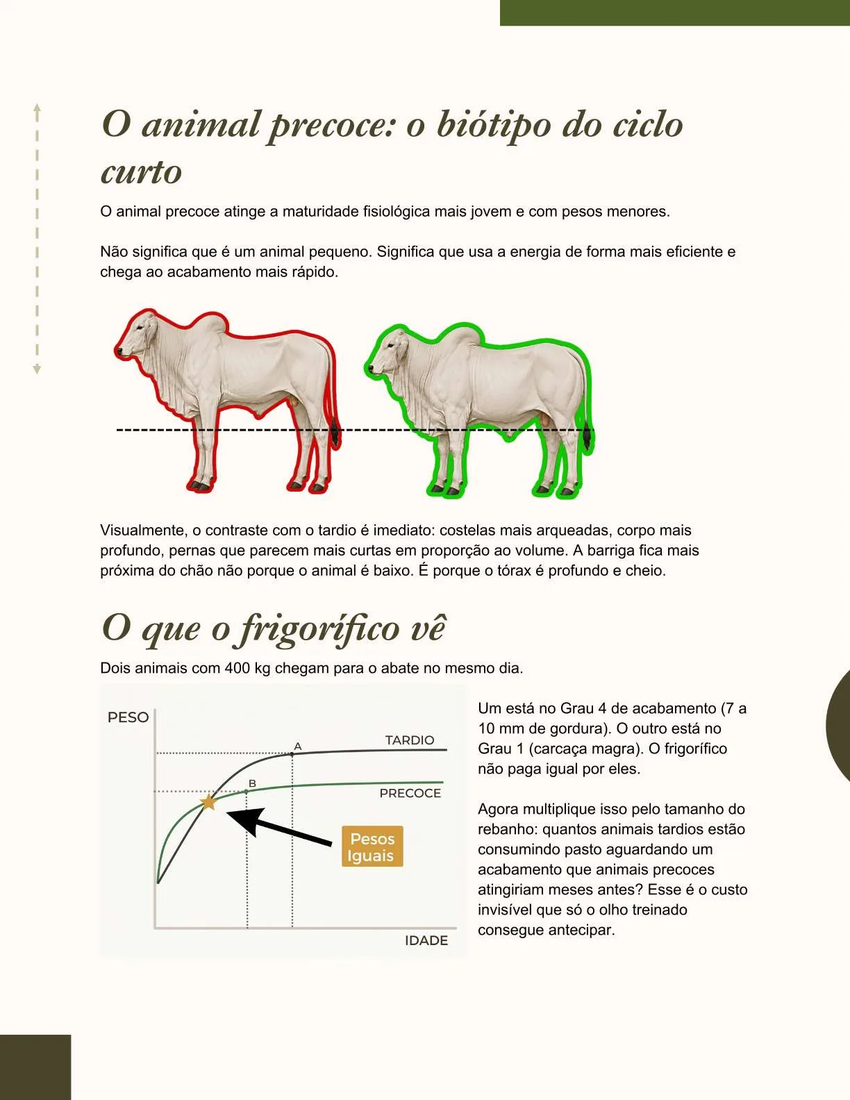 Exemplo de página do ebook