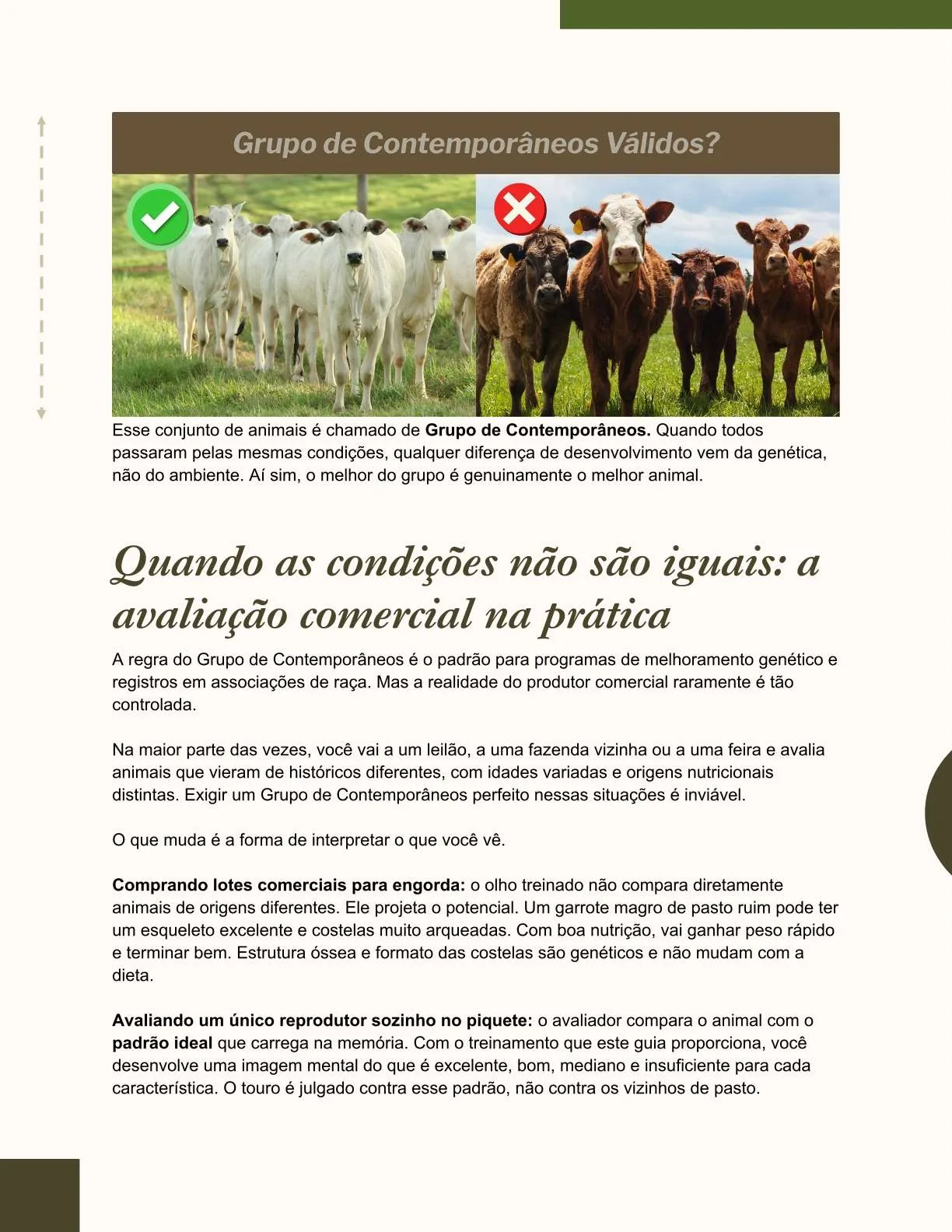Exemplo de página do ebook