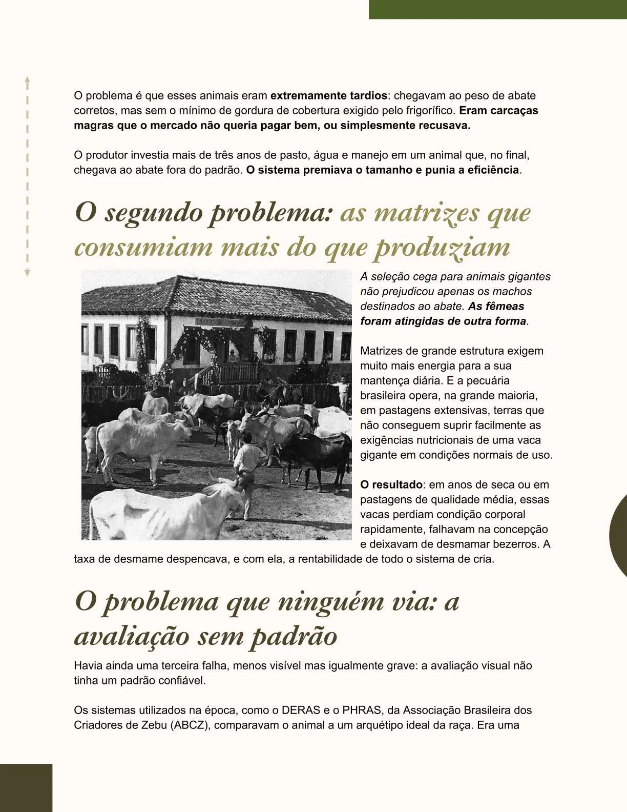 Exemplo de página do ebook