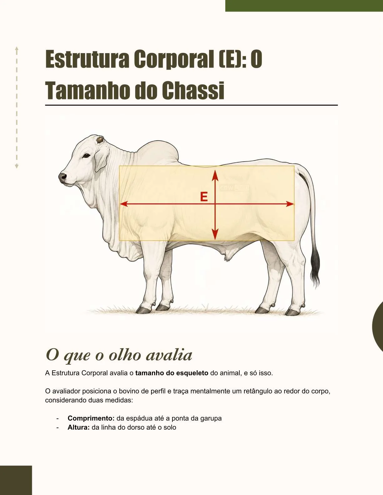 Exemplo de página do ebook