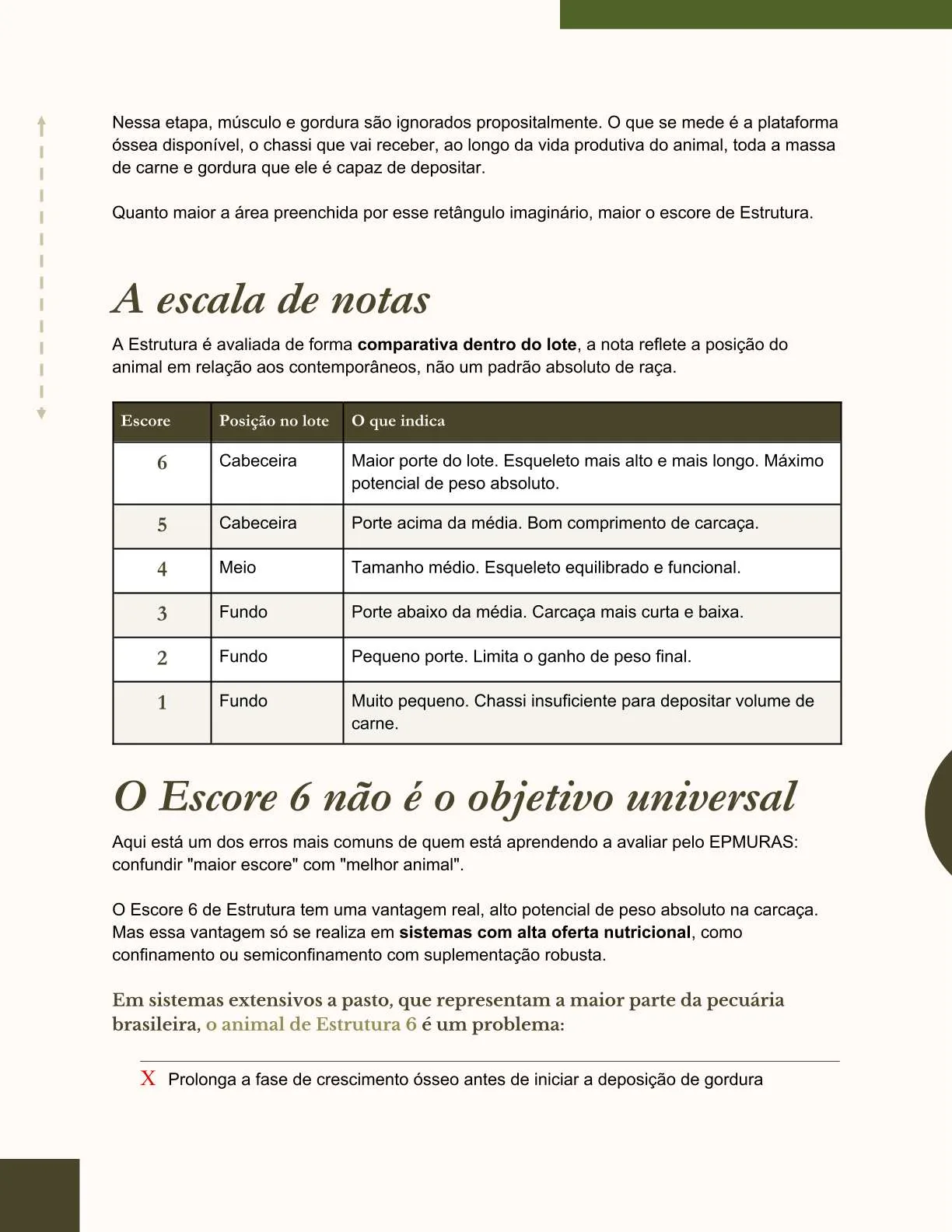 Exemplo de página do ebook