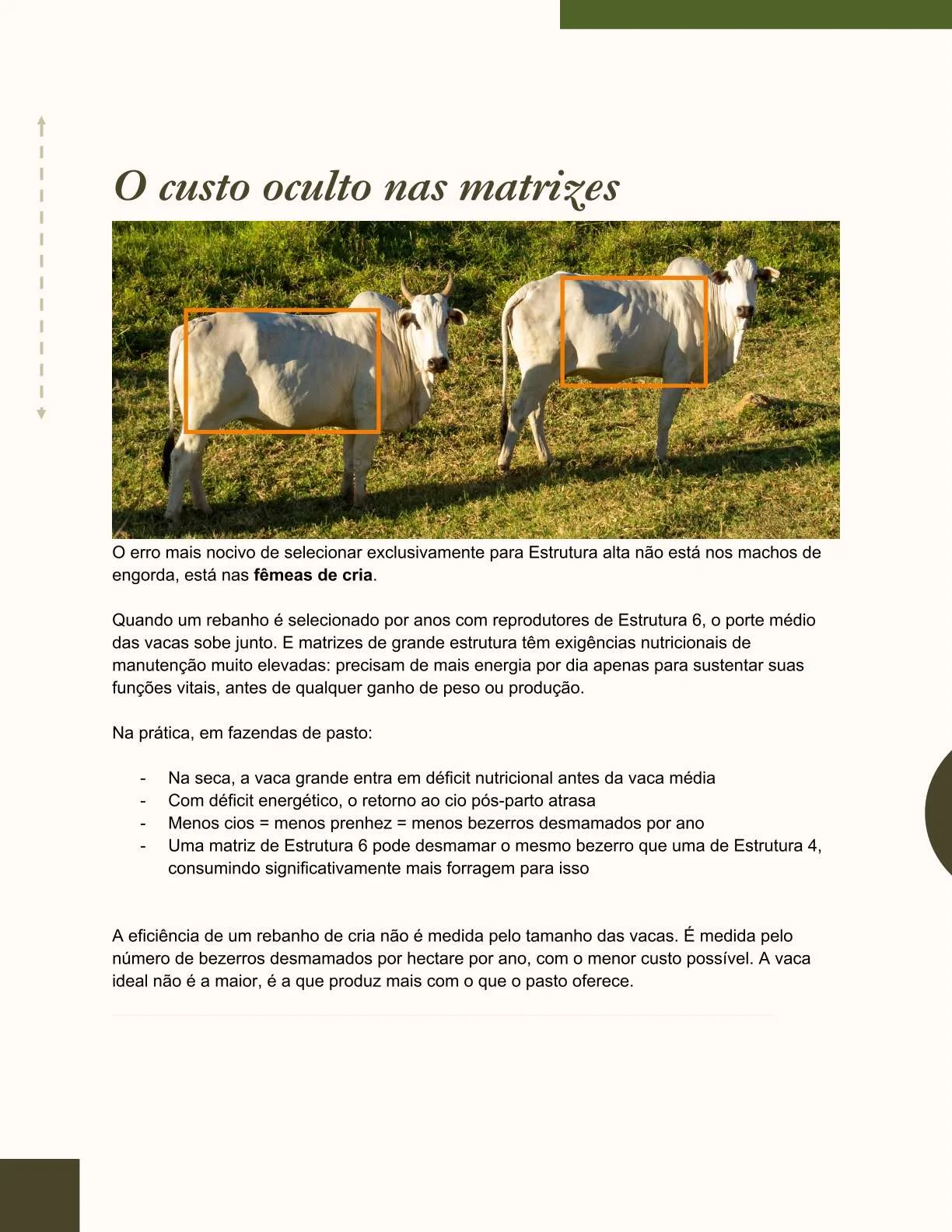 Exemplo de página do ebook