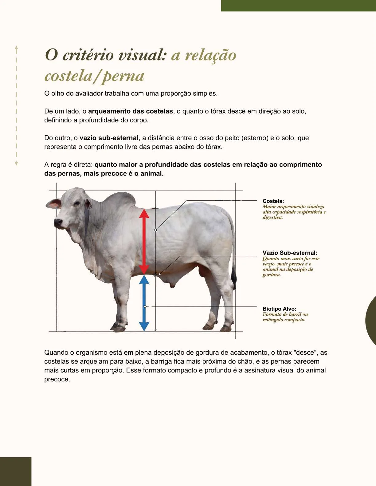 Exemplo de página do ebook
