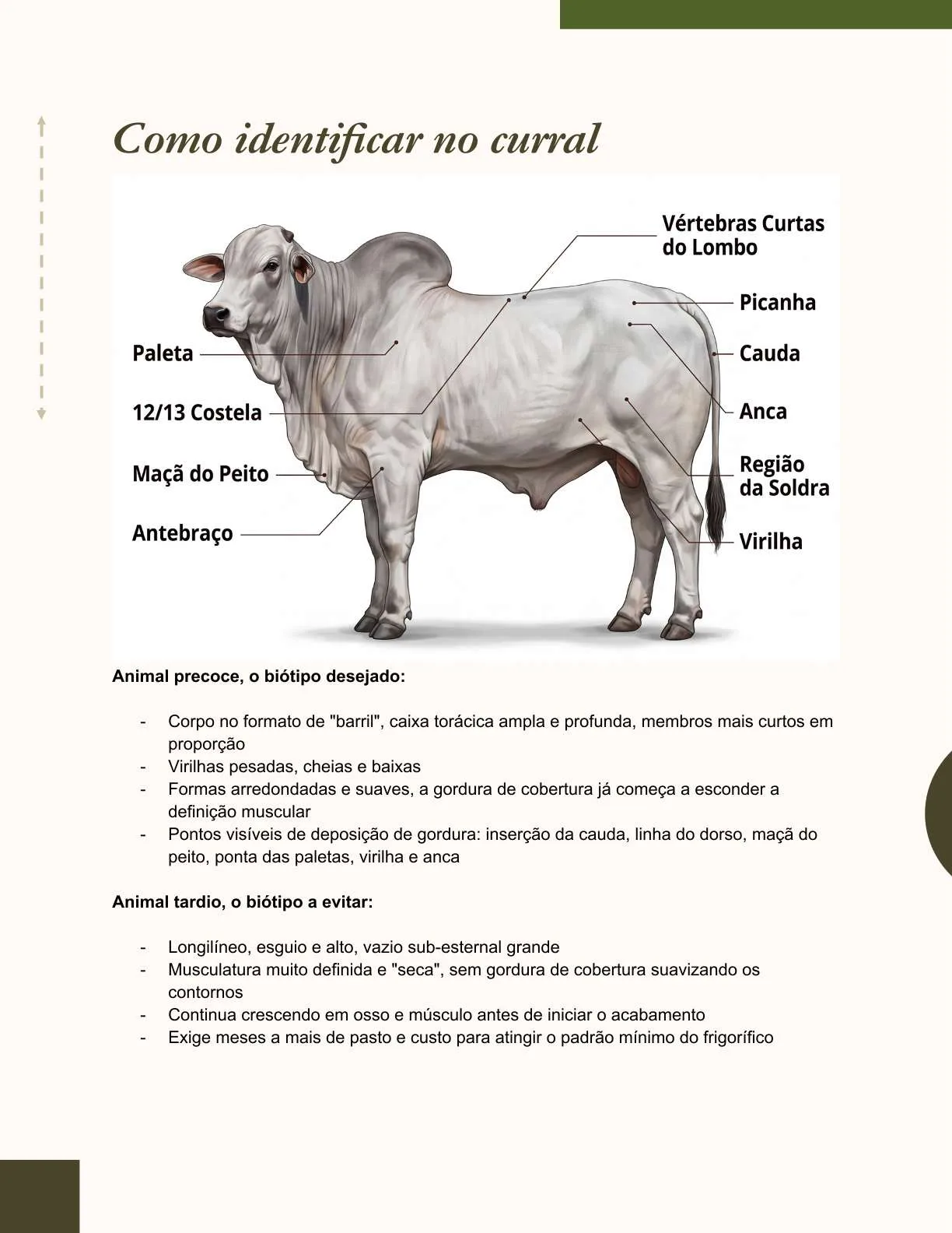 Exemplo de página do ebook