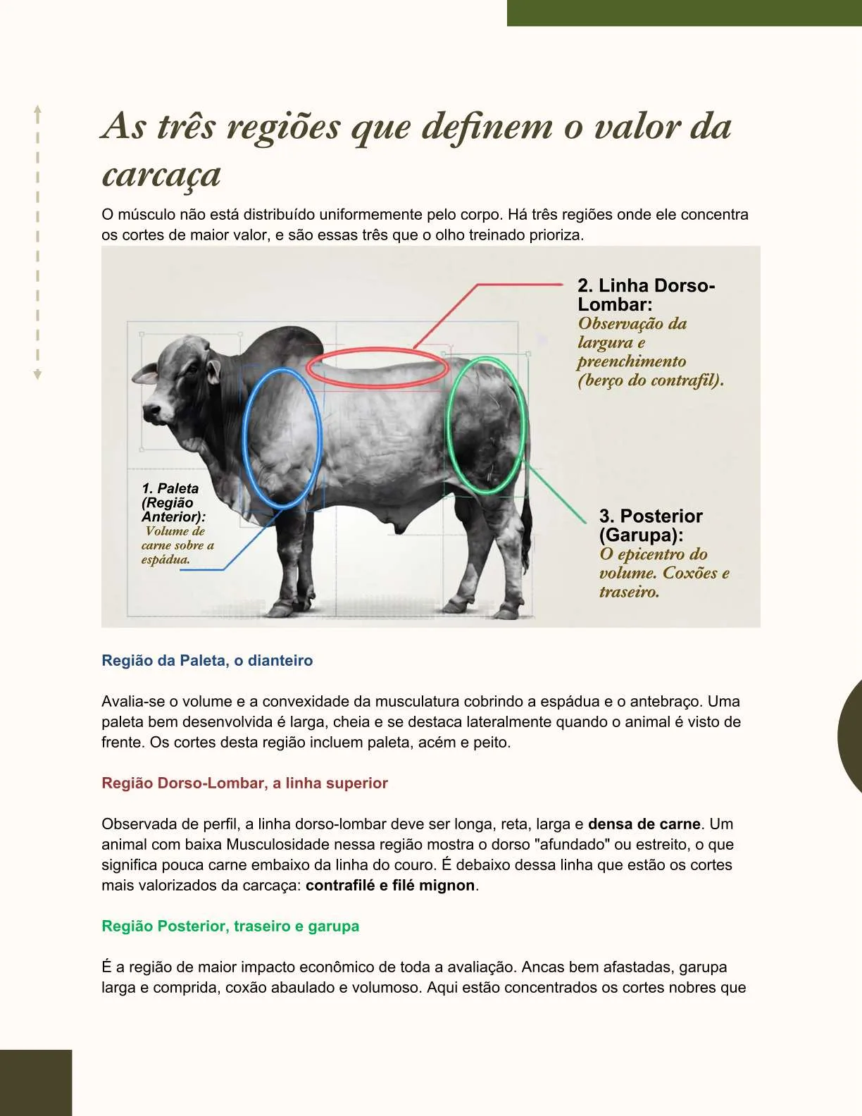 Exemplo de página do ebook