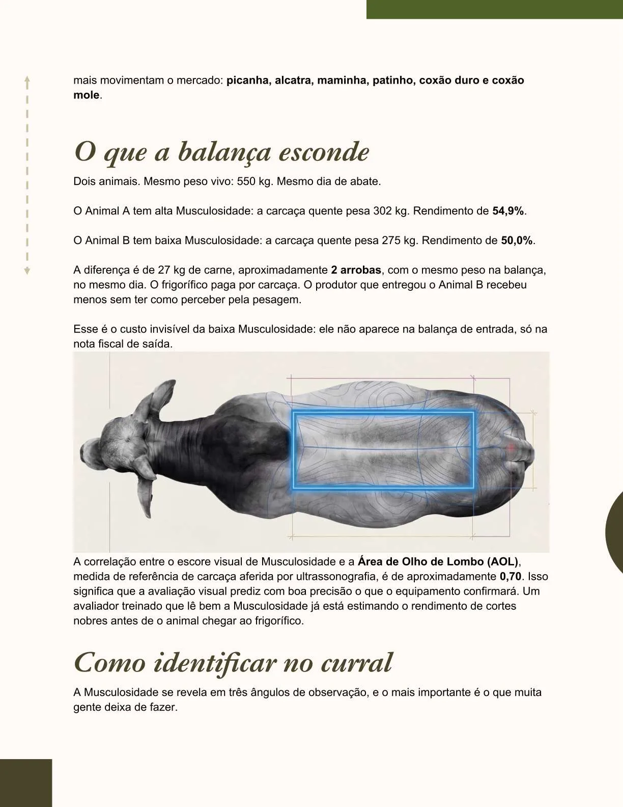 Exemplo de página do ebook