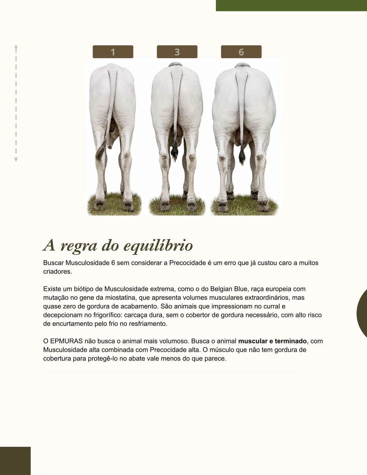 Exemplo de página do ebook