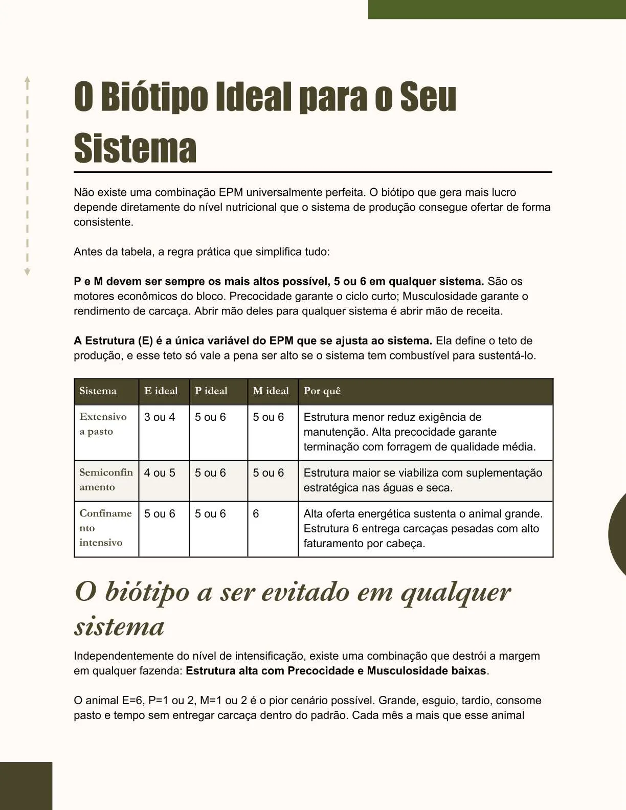 Exemplo de página do ebook