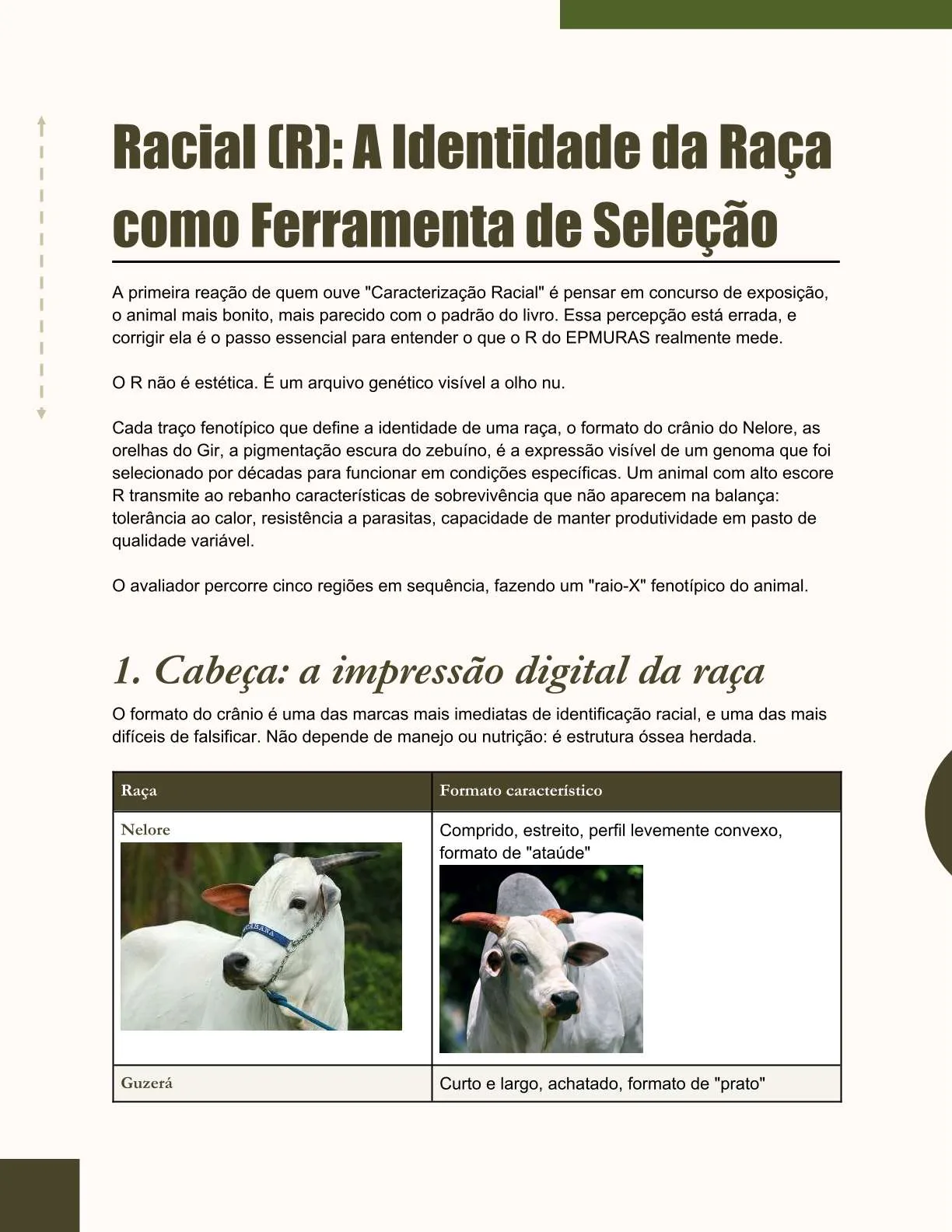 Exemplo de página do ebook