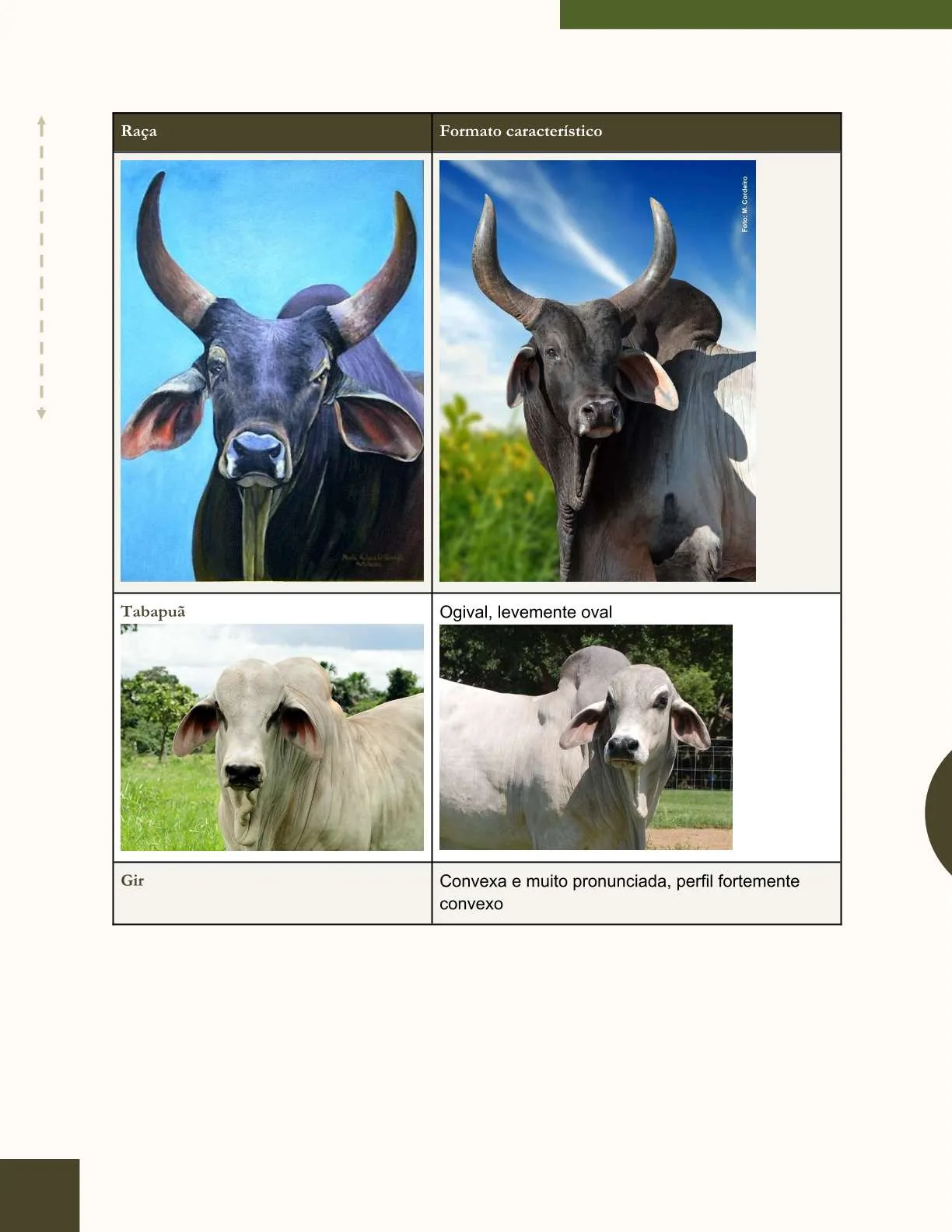 Exemplo de página do ebook