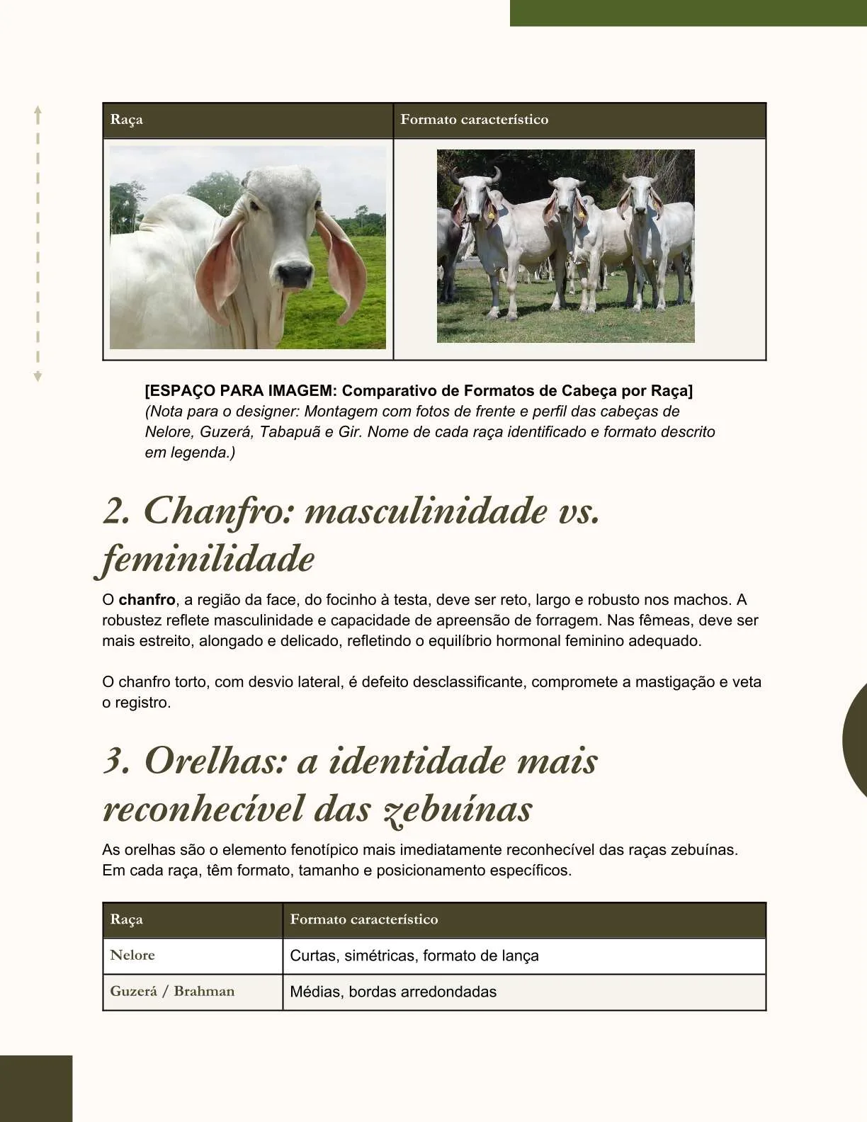 Exemplo de página do ebook