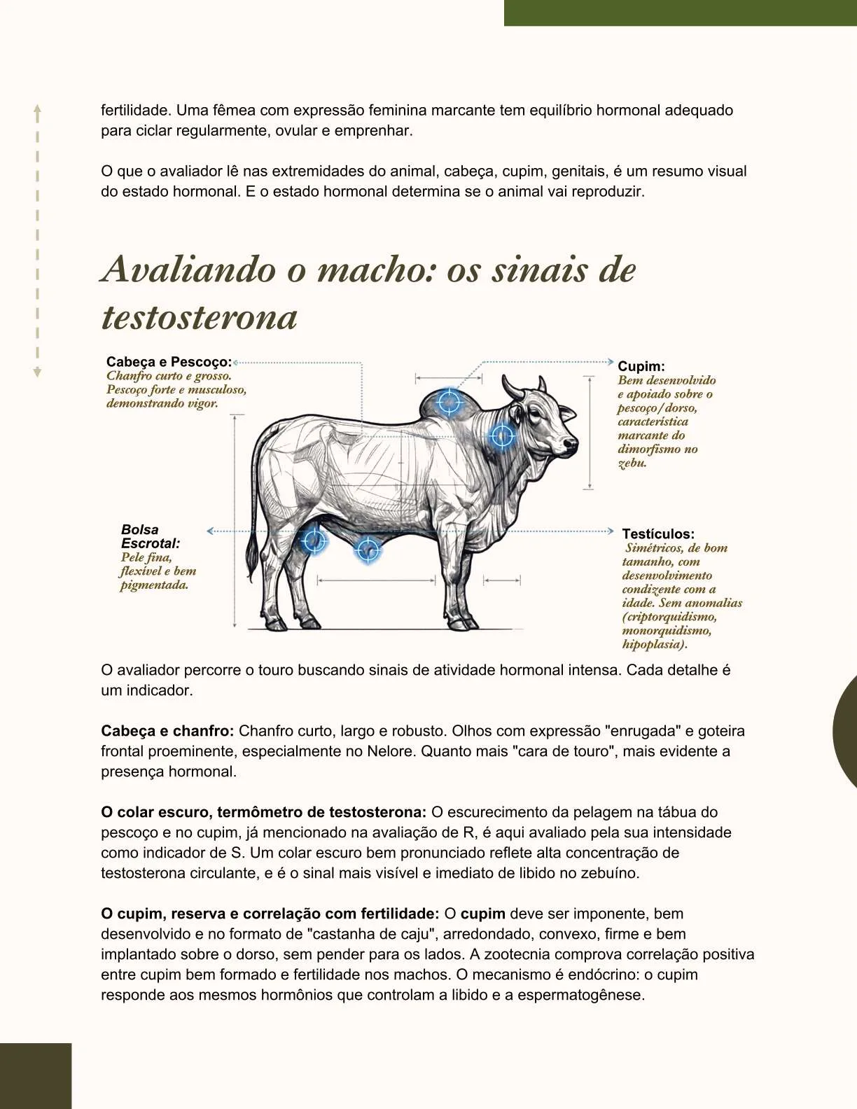 Exemplo de página do ebook