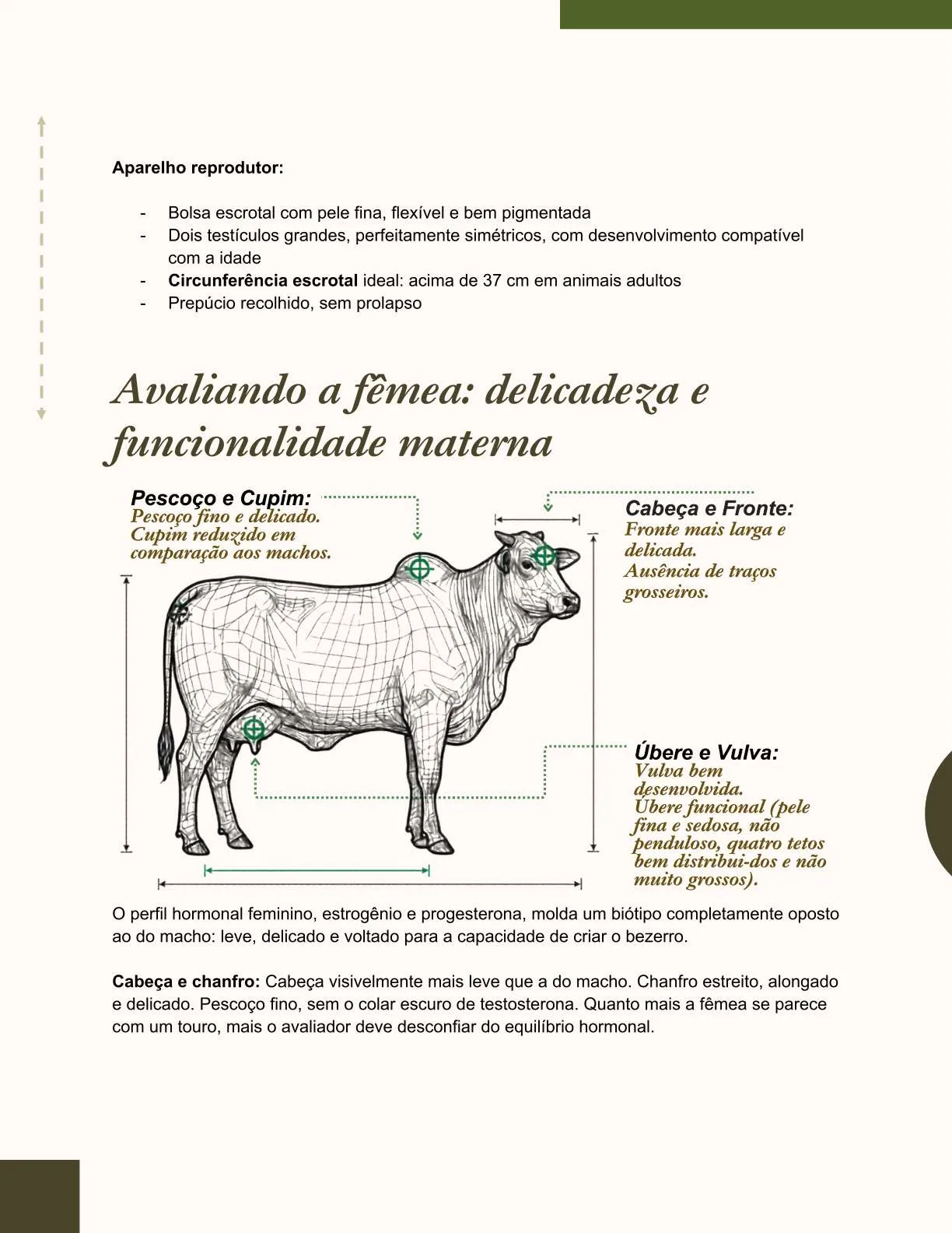 Exemplo de página do ebook