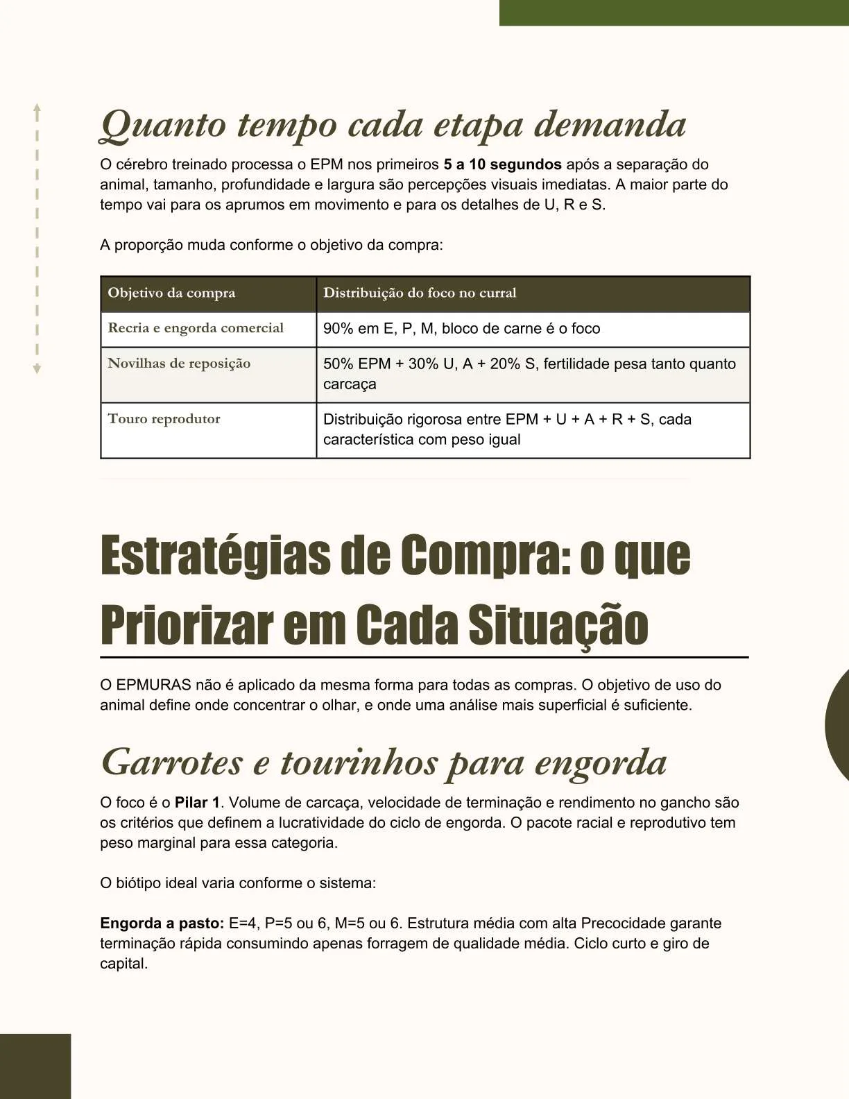 Exemplo de página do ebook